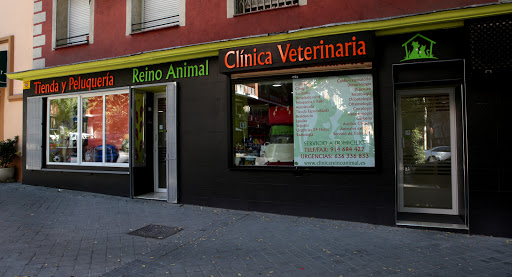 Clínica Veterinaria Animal Kingdom en Madrid