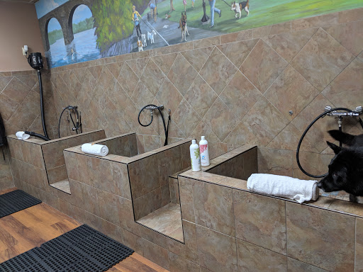 Pet Store «Pet Valu», reviews and photos, 49 East City Line Ave, Bala Cynwyd, PA 19004, USA