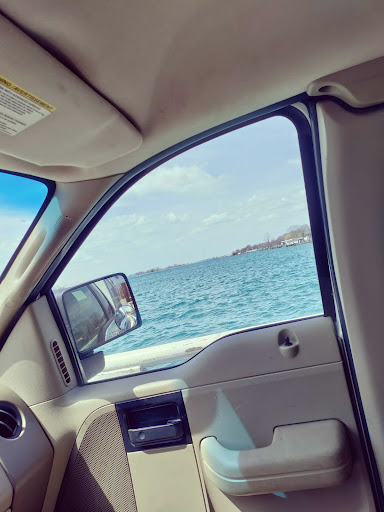 Animal Control Service «Platinum Wildlife Removal», reviews and photos