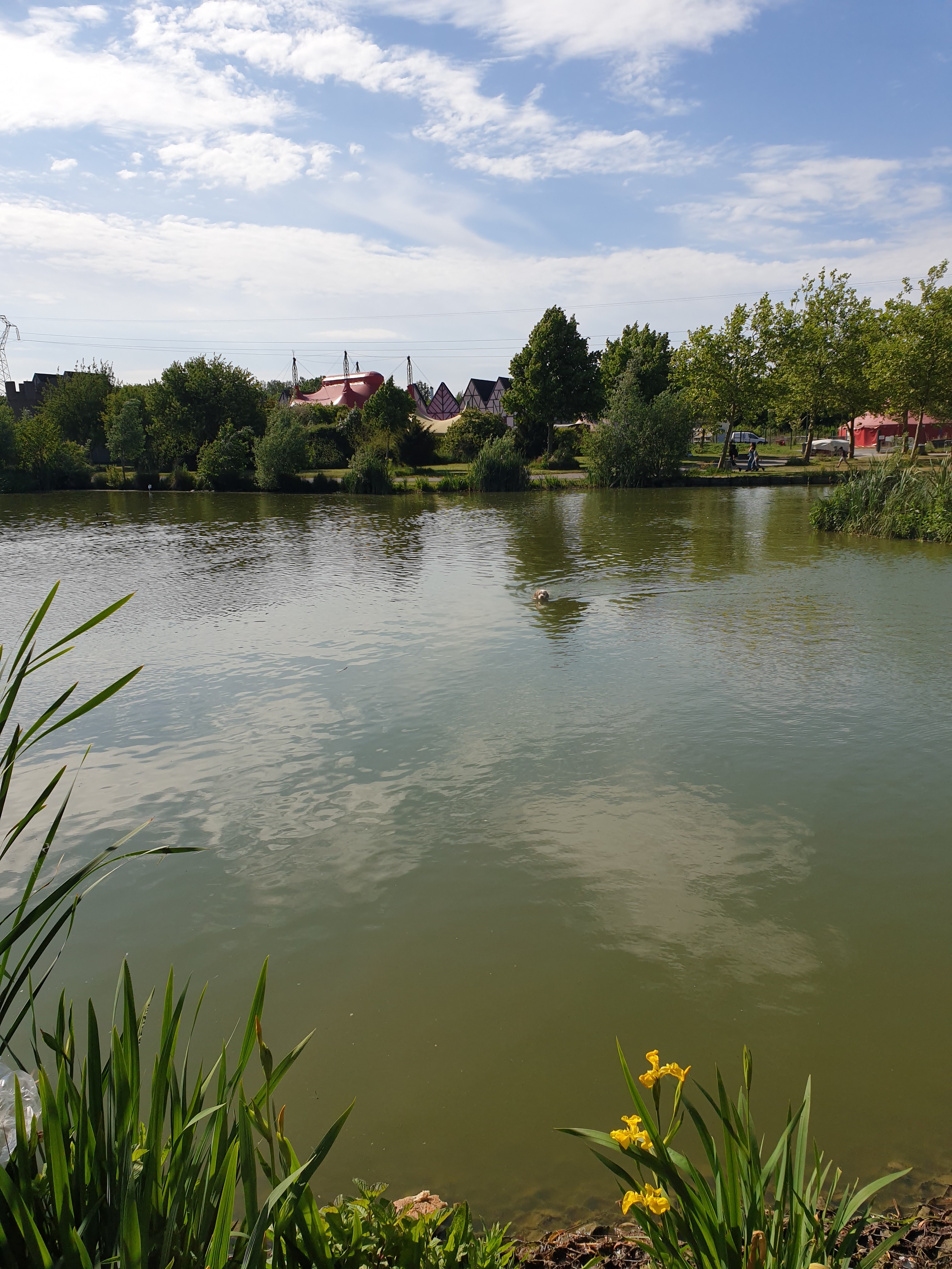 Photo n° 1 de l'avis de Emilie.e fait le 16/05/2022 à 09:08