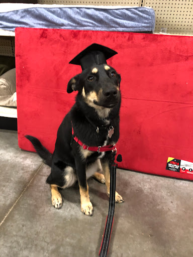 Pet Supply Store «PetSmart», reviews and photos, 6204 W Park Blvd, Plano, TX 75093, USA