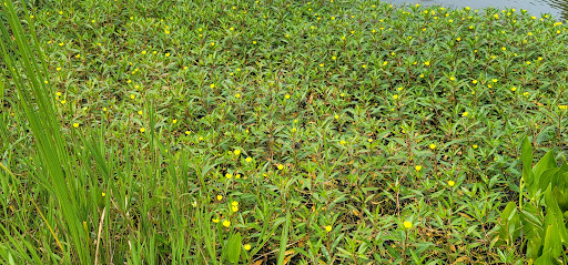 Country Club «Whitmoor Country Club», reviews and photos, 1100 Whitmoor Dr, Weldon Spring, MO 63304, USA