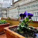 Photo n°3 de l'avis de Marcela.a fait le 23/03/2024 à 20:30 sur le  Hotel Duomo Firenze à Florence