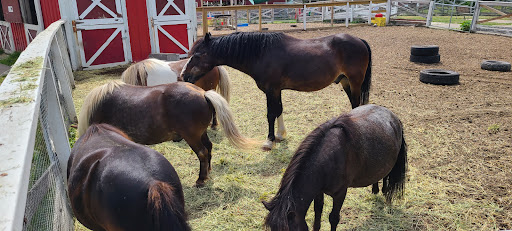 Social Services Organization «Lambs Farm», reviews and photos, 14245 W Rockland Rd, Libertyville, IL 60048, USA