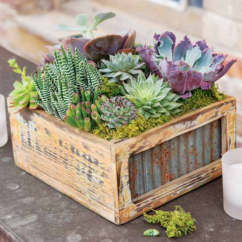 Gift Basket Store «Olive & Cocoa», reviews and photos, 3030 Directors Row, Salt Lake City, UT 84104, USA