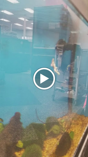 Pet Supply Store «Petco Animal Supplies», reviews and photos, 1815 Newport Blvd b, Costa Mesa, CA 92627, USA