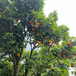 Photo n°2 de l'avis de Brittan.o fait le 06/05/2024 à 10:49 sur le  Hotel Margherita à Praiano