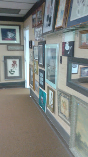 Thrift Store «SPCA of Northern Nevada Thrift Store», reviews and photos, 401 Vine St, Reno, NV 89503, USA