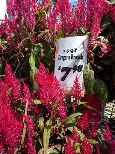 Home Improvement Store «The Home Depot», reviews and photos, 1710 Homer Adams Pkwy, Alton, IL 62002, USA