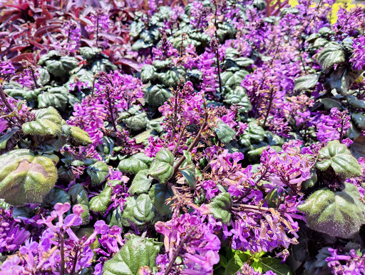 Home Improvement Store «The Home Depot», reviews and photos, 3451 NW Federal Hwy, Jensen Beach, FL 34957, USA