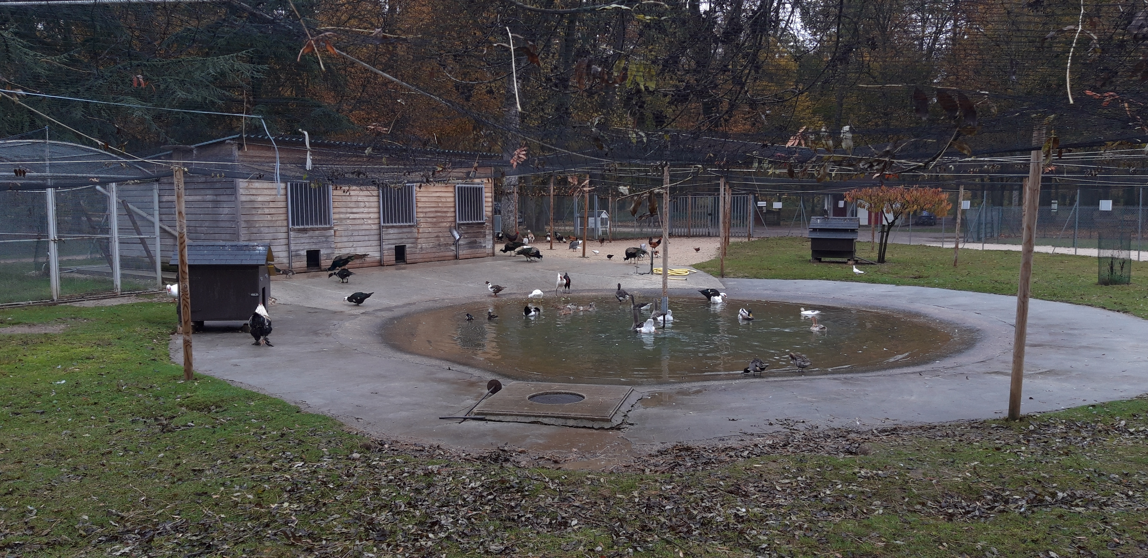 Photo n° 1 de l'avis de Lord.r fait le 16/11/2018 à 04:59