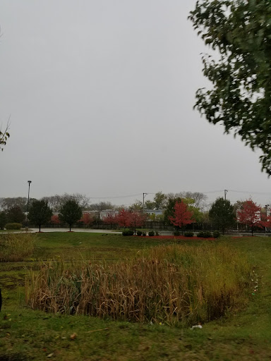 Movie Theater «AMC Classic Galewood Crossings 14», reviews and photos, 5530 W Homer St, Chicago, IL 60639, USA