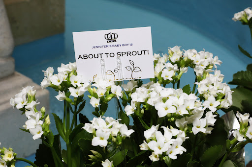 Florist «Cranford Florist & Gifts LLC», reviews and photos, 362 N Ave E, Cranford, NJ 07016, USA