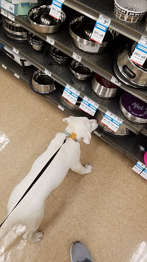 Pet Supply Store «Petco Animal Supplies», reviews and photos, 545 W Prien Lake Rd, Lake Charles, LA 70601, USA