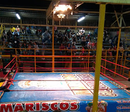 ARENA NACIONALISTA photo