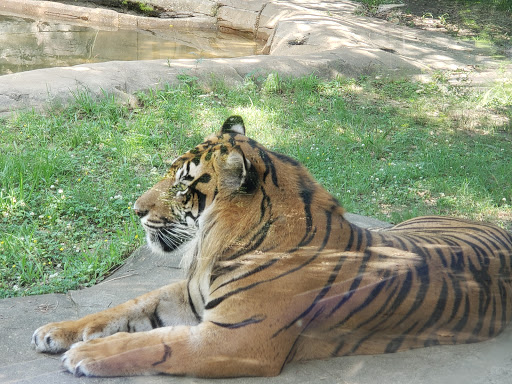 Zoo «The Jackson Zoological Park», reviews and photos, 2918 W Capitol St, Jackson, MS 39209, USA