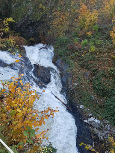 Live Music Venue «The Falcon», reviews and photos, 1348 US-9W, Marlboro, NY 12542, USA