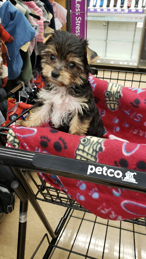 Pet Supply Store «Petco Animal Supplies», reviews and photos, 5177 Eldorado Pkwy, Frisco, TX 75033, USA