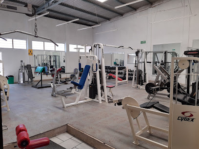 Intensity Gym - José Maria Morelos 155, Col. Centro, 38000 Celaya, Gto., Mexico