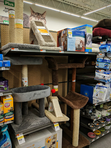 Pet Supply Store «Pet Supplies Plus», reviews and photos, 115 Richard B. Russell Parkway suite-110, Warner Robins, GA 31088, USA
