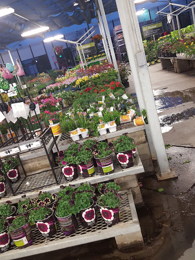 Home Improvement Store «The Home Depot», reviews and photos, 2960 Reynolds Ranch Pkwy, Lodi, CA 95240, USA