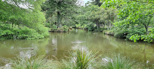 Auckland Domain Duck Pond