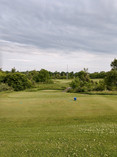 Public Golf Course «Hunters Ridge Golf Course», reviews and photos, 8101 Byron Rd, Howell, MI 48855, USA