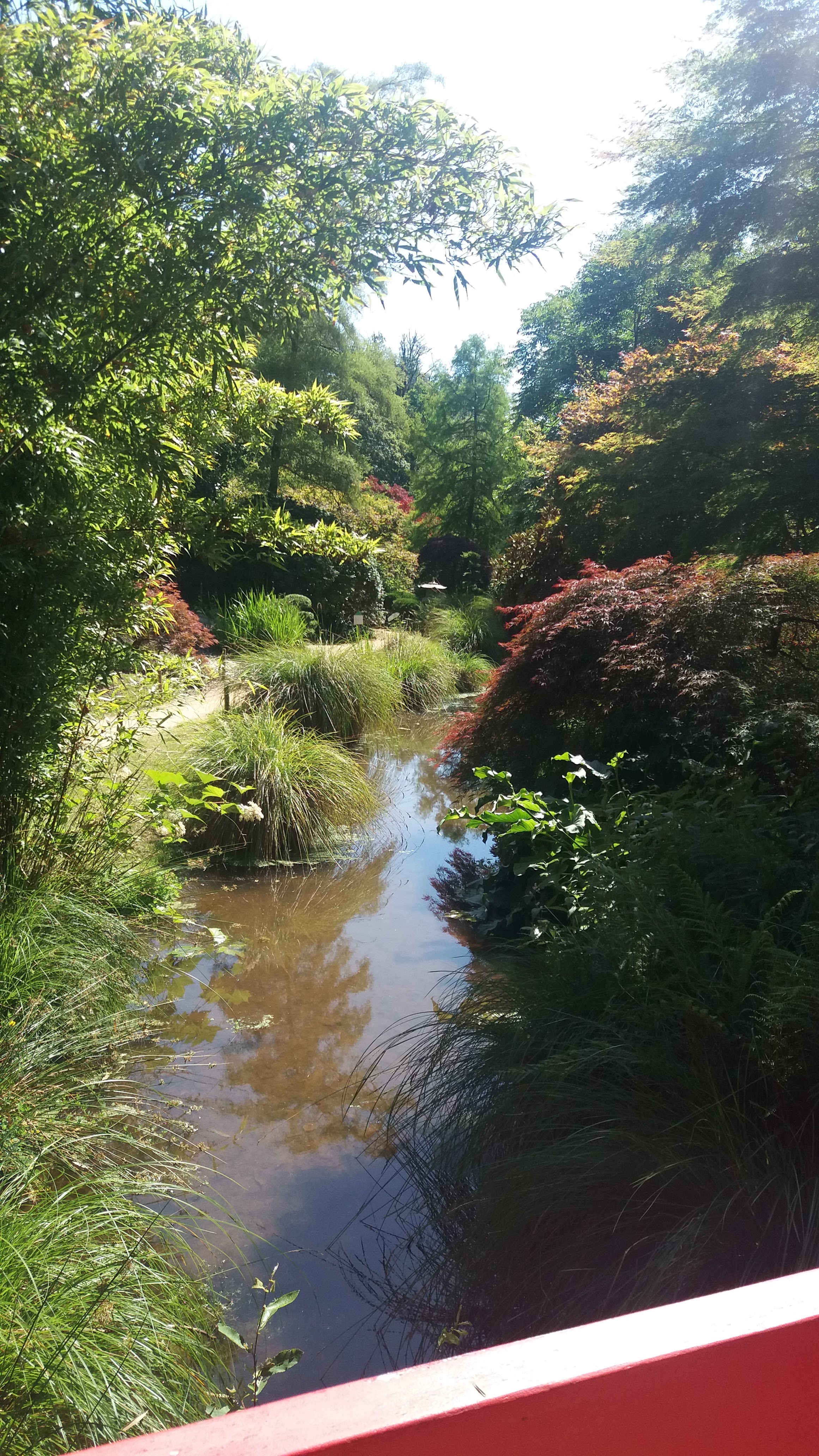 Photo n° 2 de l'avis de Michèle. fait le 13/07/2020 à 11:09