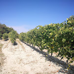 Photo n°6 de l'avis de Gian.a fait le 14/10/2021 à 19:30 sur le  i Bergé di Muscandia | Ristorante Agricolo à Pino d'Asti