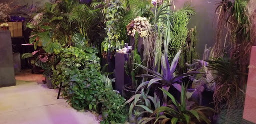 Event Venue «Moore Bldg», reviews and photos, 3841 NE 2nd Ave, Miami, FL 33137, USA