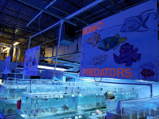 Tropical Fish Store «The Fish Store», reviews and photos, 2050 Chamblee Tucker Rd, Chamblee, GA 30341, USA