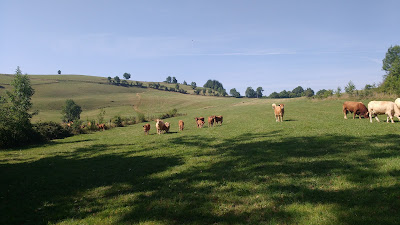 Ferme de La Roche à Quincieu