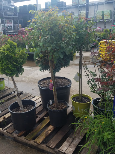 Home Improvement Store «The Home Depot», reviews and photos, 136 Elm St, Enfield, CT 06082, USA