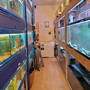 Pet Supply Store «Milwaukee Aquatics», reviews and photos, 3946 S Howell Ave, Milwaukee, WI 53207, USA