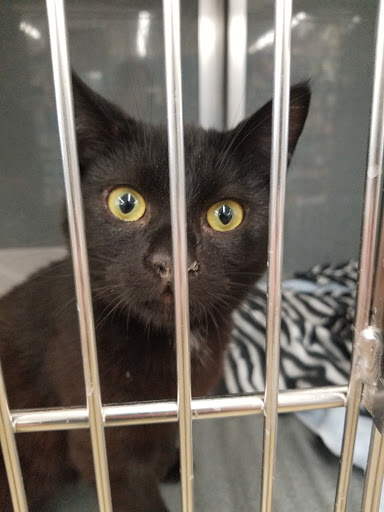 Pet Supply Store «Pet Supplies Plus», reviews and photos, 4121 Buffalo Rd, Erie, PA 16510, USA