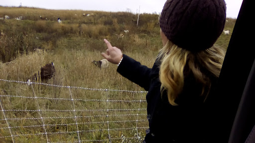 Thrift Store «The Salvation Army Family Store & Donation Center», reviews and photos, 717 3rd Ave SE, Cedar Rapids, IA 52401, USA