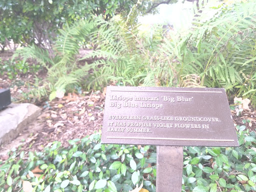 Gym «Baylor Tom Landry Fitness Center», reviews and photos, 411 N Washington Ave #1900, Dallas, TX 75246, USA