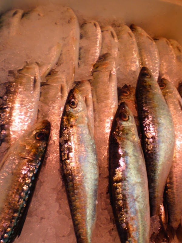 Pescadería Miguel Llorente