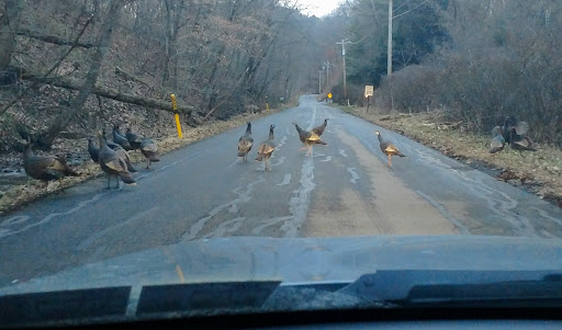 Golf Course «Diamond Run Golf Club», reviews and photos, 132 Laurel Oak Dr, Sewickley, PA 15143, USA