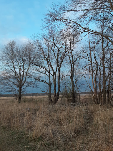 Bird Watching Area «Haehnle Sanctuary», reviews and photos, Seymour Rd, Pleasant Lake, MI 49272, USA