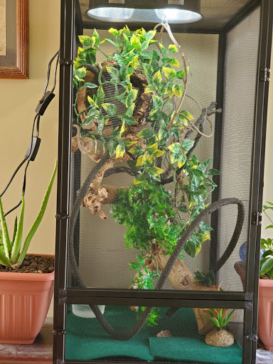 Pet Store «Tye-Dyed Iguana - Reptiles», reviews and photos, 1905 W U.S. 50, Fairview Heights, IL 62208, USA