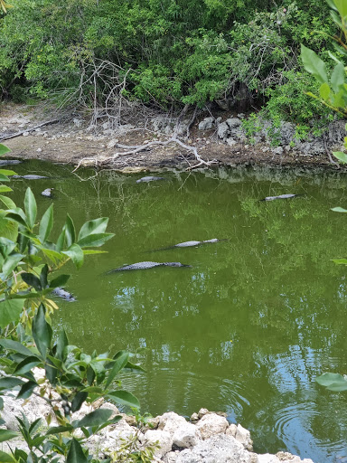 Visitor Center «Big Cypress Swamp Welcome Center», reviews and photos