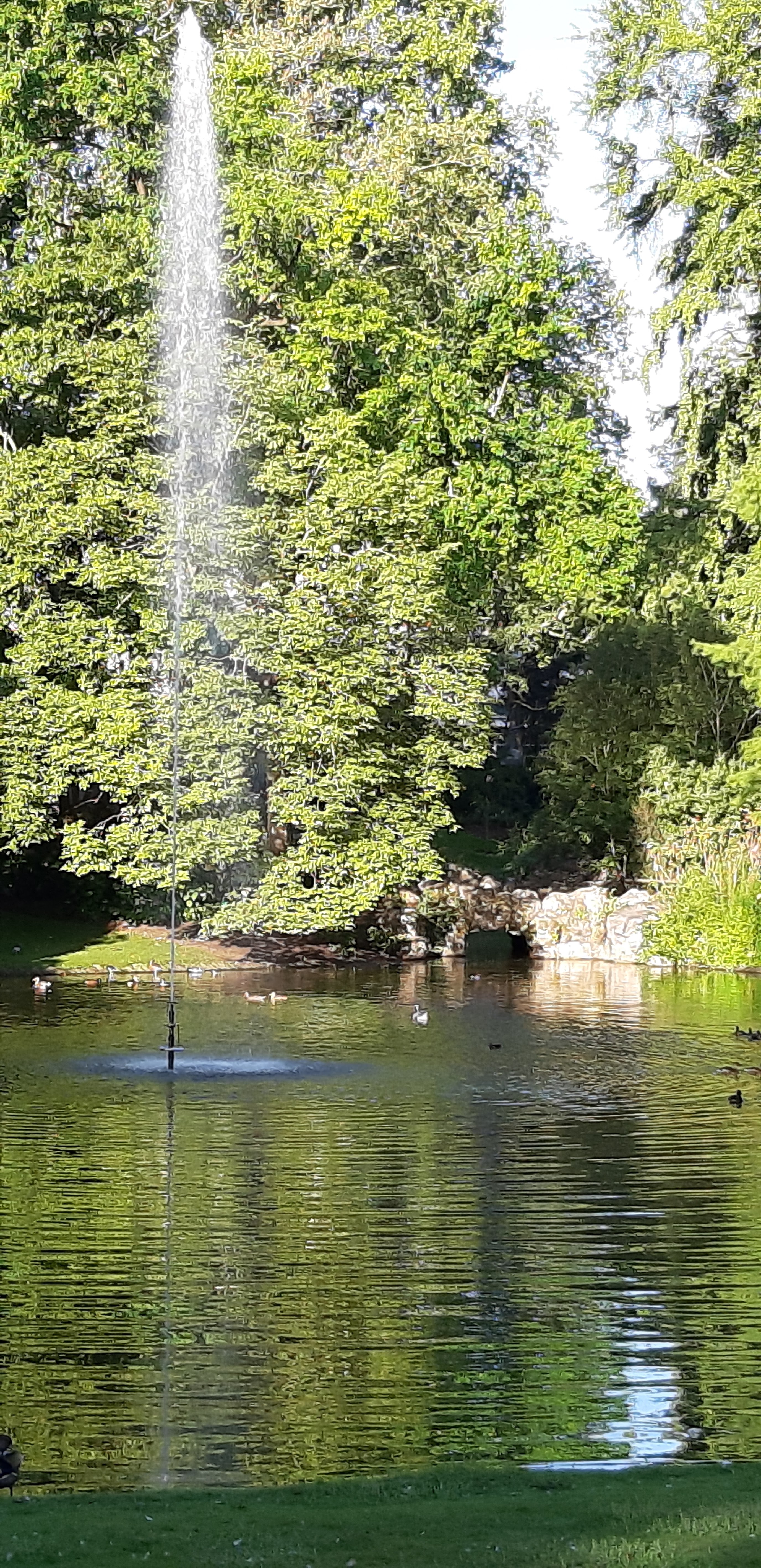 Photo n° 6 de l'avis de Léo-Maël.e fait le 22/08/2019 à 07:00