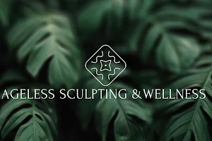 Ageless Sculpting and Wellness image