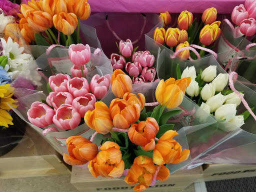 Grocery Store «Food Lion», reviews and photos, 1291 Folly Rd, Charleston, SC 29412, USA