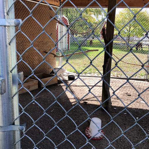 Zoo «Sibley Farm», reviews and photos, 900 Mound Avenue, Mankato, MN 56001, USA