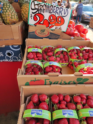 Grocery Store «Valentino Food Market», reviews and photos, 66-64 Fresh Pond Rd, Ridgewood, NY 11385, USA