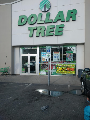 Dollar Store «Dollar Tree», reviews and photos, 154 S Broadway, Lawrence, MA 01843, USA