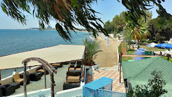 Photo de Merit Cyprus Gardens Beach et le règlement