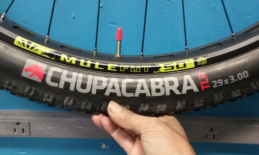 Bicycle Rental Service «Genesis Bicycles», reviews and photos, 126 Bushkill St, Easton, PA 18042, USA